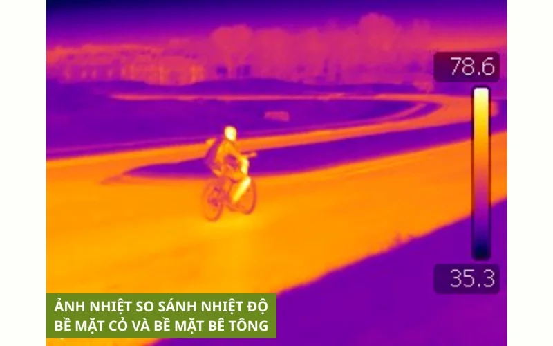 Vỉ Trồng Cỏ Chịu Lực | Tất Tần Tật Về Lợi Ích, Ứng Dụng Và Cách Lắp Đặt